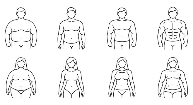 Male and female body types fitness weight