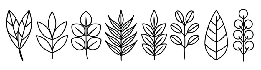 Eucalyptus leaf line art design illustration decorative leaf