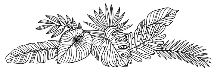 Obraz premium Design with linear palm leaves. Decorative image of tropical foliage and plants.