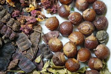 Top view of organic soap nuts surrounded by assorted dry plant materials, showcasing natural and eco-friendly household cleaning alternative