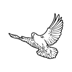 flying dove - symbol of peace and freedom