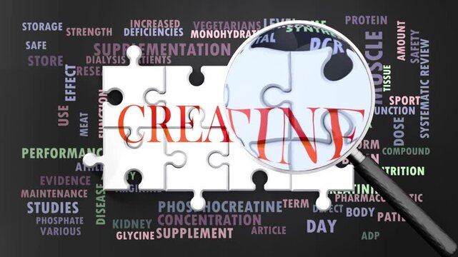 Creatine under magnifying glass, being researched, studied and examined. Most important subjects and ideas closely related to creatine presented as a word cloud. Complexity of creatine. Can be looped.