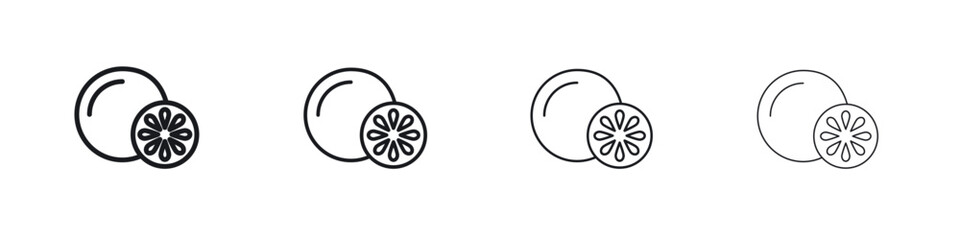 Grapefruit icon. minimal strokes lines for web designs