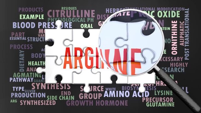 Arginine under magnifying glass, being researched, studied and examined. Most important subjects and ideas closely related to arginine presented as a word cloud. Complexity of arginine. Can be looped.