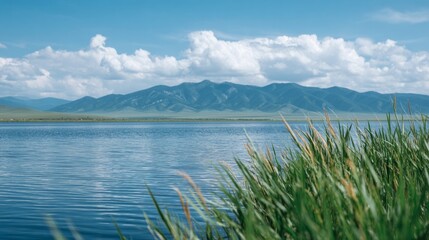 Rippling azure lake, whispering reeds, skies unfurled over tranquil peaks; perfect harmony for World Wetlands Day meditation