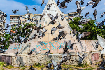 Fototapety na wymiar - Fototapeta24.pl