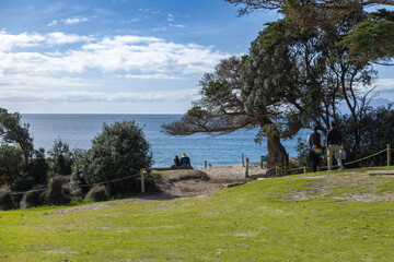 A couple sits on a log overlooking the ocean in New Zealand, enjoying the view. A family walks nearby, enjoying the park and the beautiful day.