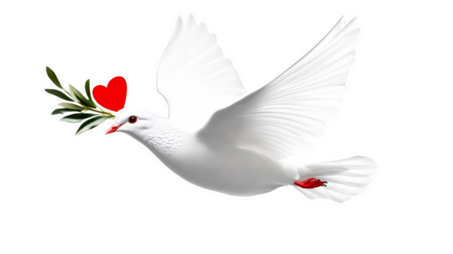 White dove carrying olive branch and red heart in flight