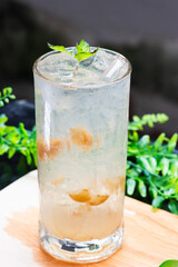 Iced preserved lime soda in a clear glass with crushed ice and mint leaves, served on a wooden surface with a green leafy background.