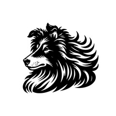 Obraz premium Vector art of portrait of a collie dog isolated on white background in black and white