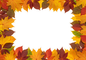 Fototapeta premium Autumn Leaf Frame: Fall Foliage Border for Design Projects
