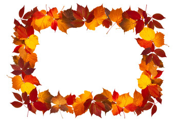 Autumn Leaf Frame: Fall Foliage Border for Design Projects