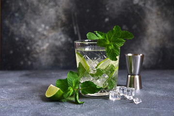 Mojito - cold summer lemonade with lime and mint .