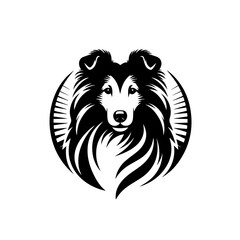 Fototapeta premium Vector art of sheltie dog head isolated on white background in black and white design