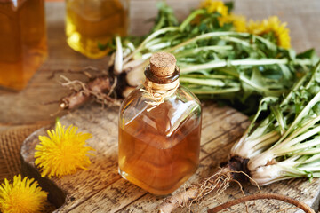 A bottle of herbal tincture with fresh dandelion root and blooming plant © Madeleine Steinbach