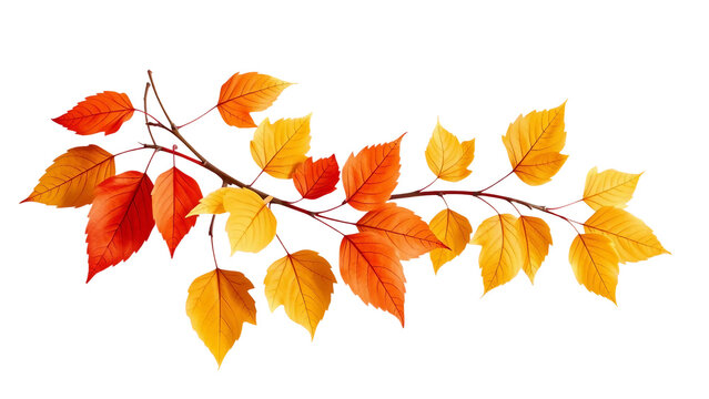 PNG Clipart mit bunten Herbstbl&auml;ttern in Gelb, Orange und Gr&uuml;n &ndash; ideal f&uuml;r Bastelprojekte, Scrapbooking und saisonale Dekorationen.
