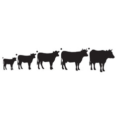 Cow transformation silhouette