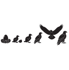 Eagle transformation silhouette