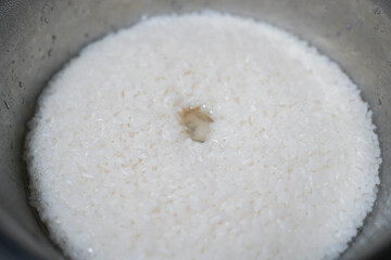 Close-Up of Homemade Fermented Glutinous Rice – Traditional Asian Sweet Rice Wine Starter