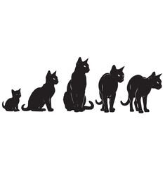 Silhouette of the cat life cycle