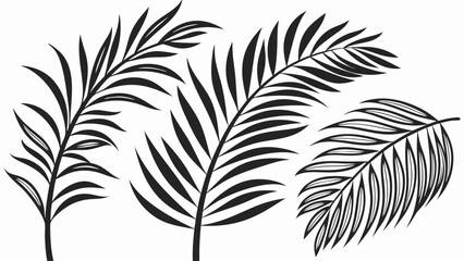 Three Stylized Black Palm Fronds Tropical Leaf Design.