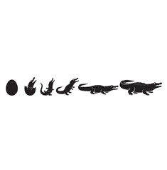 Crocodile silhouette