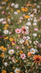 Bees flying around a field of colorful flowers with daisies and other blooms in the sunlight