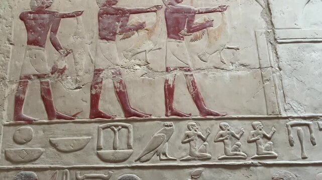Saqqara, Egypt - Feb 5, 2024: Ancient Egyptian relief from Princess Idut's mastaba in Saqqara, depicting ritual bull sacrifice as part of funerary customs.