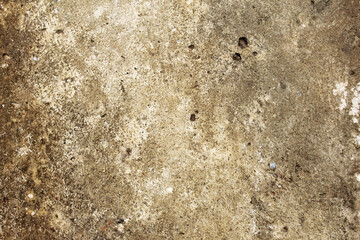 Gritty Concrete Surface Texture
