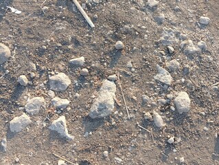 The image shows a close-up of dry, cracked, and rocky ground with patches of brown and green grass.