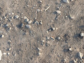 The image shows a close-up of dry, cracked, and rocky ground with patches of brown and green grass.