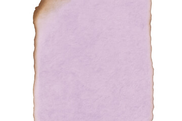 Crispy golden toast slice floating, showcasing clean minimalist design against transparent backdrop, highlighting culinary freshness