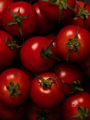 fresh tomatoes, autumn tomato harvest