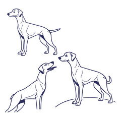Continuous Line Serbian Dog