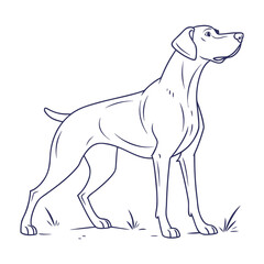Stylish Line Drawing of Serbian Dog