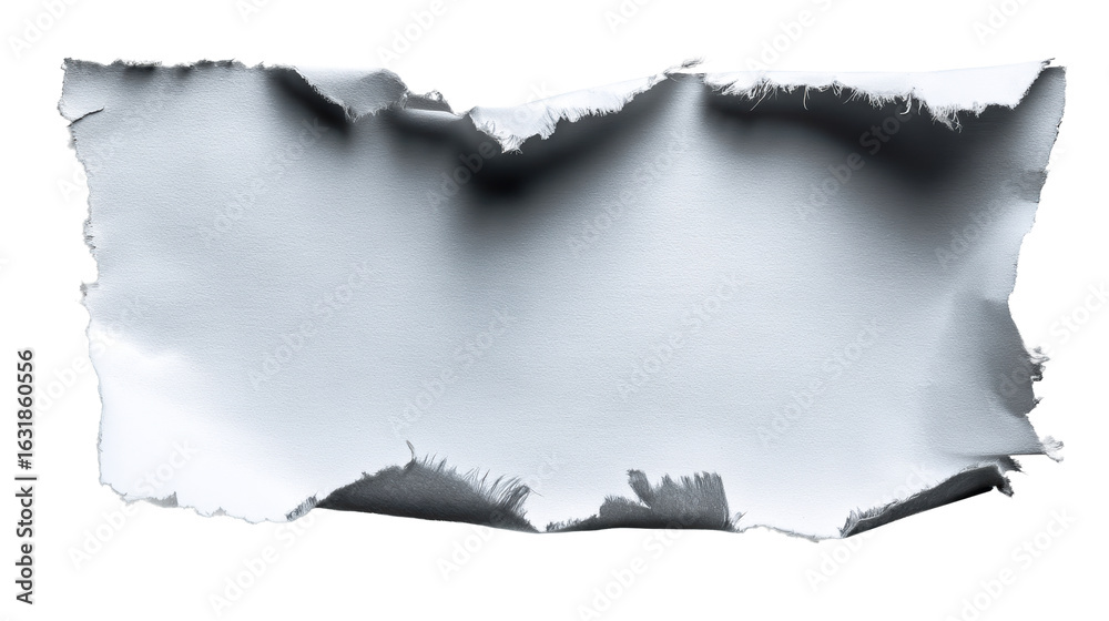 Wall mural torn paper with a textured edge on a transparent background