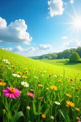 Fototapeta premium Vibrant Wildflower Meadow Bathed in Golden Sunlight A Perfect Summer Day