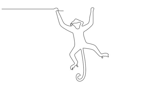Animated self drawing of continuous one line drawing monkey vector outline. Full length animated