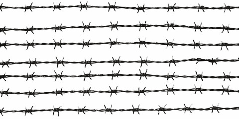 Multiple rows of barbed wire against a white background