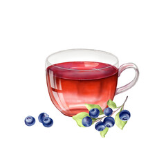 Hand-drawn illustration of a glass cup filled with berry tea, accompanied by a sprig of ripe blueberries and a few loose berries 