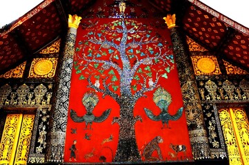 tree of life