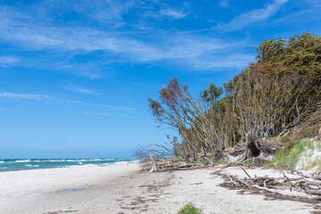 Darßer Weststrand.