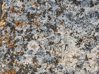 Abstract Texture of an Old Stone with Lichen
