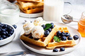 Waffles with blueberries, ice cream, and honey on a plate