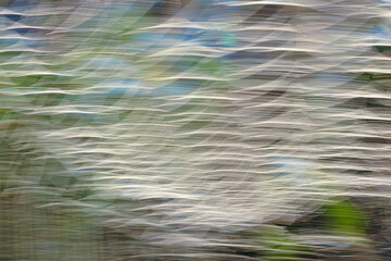 揺れる和の模様