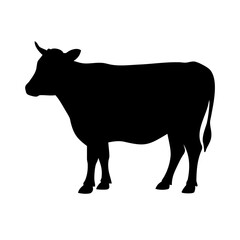 silhouette of a cow