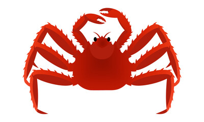 Royal crab seafood colored illustration on white. Top most popular shellfish and crustaceans. Vector EPS 10. For any platform action promotion and advertising mockup. For your project.