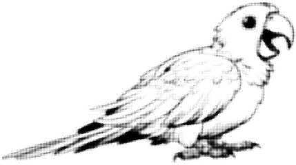 Fototapeta premium Halftone style parrot illustration with open beak and intricate details