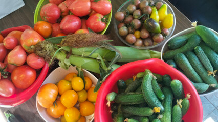 A vibrant bounty of rustic vegetables celebrates Lughnasadh's harvest, evoking culinary alchemy in vibrant heirloom hues