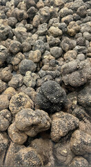 Earthy black truffles resting like hidden gemstones, echoing the indulgence of Truffle Festival and National Potato Day extravagance